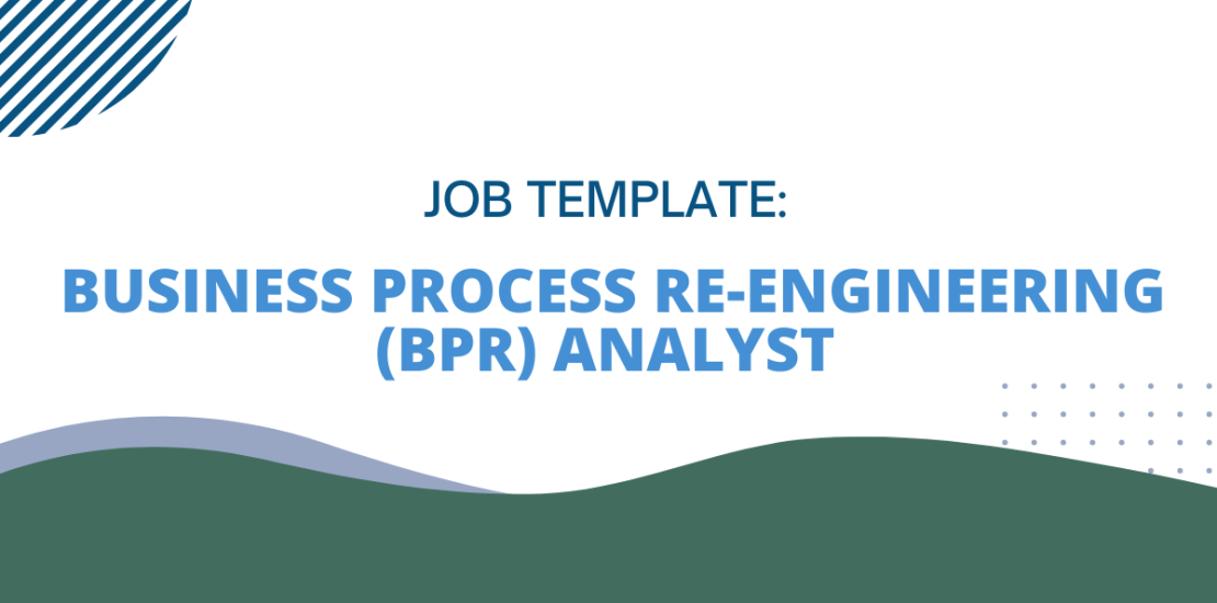 Business Process Re-Engineering (BPR) Analyst